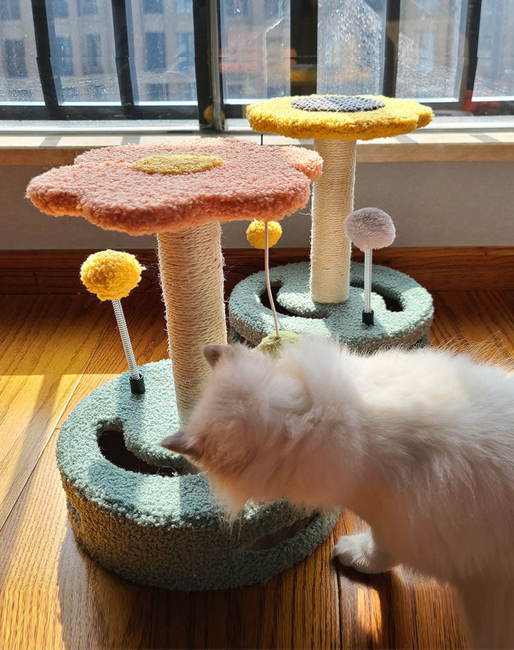 Why Your Cat Needs the Pet Scratch Board for Claw Grinding Play
