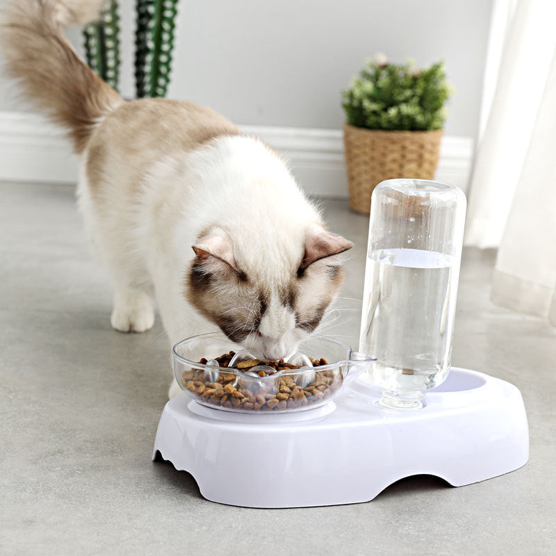 Why Every Cat Deserves the Best Feeding Experience