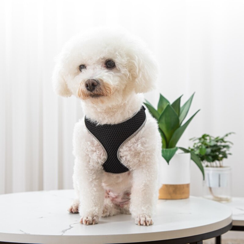 Vest Style Pet Walking Harness Leash: The Stylish Way to Walk Your Pet