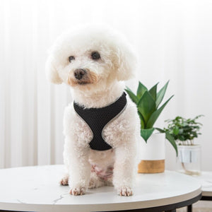Vest Style Pet Walking Harness Leash: The Stylish Way to Walk Your Pet