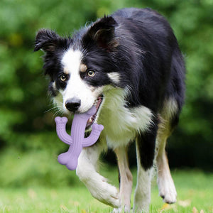 Ultra Durable Cactus Pet Chew Toy Interactive Play - The Perfect Playtime Companion!