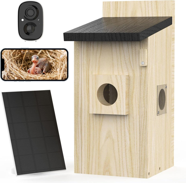 Discover the Magic of Birdwatching with Our Smart Solar Birdhouse