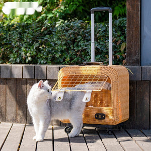 The Ultimate Pet Travel Companion