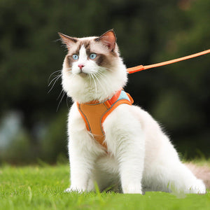 The Ultimate Safety Solution for Your Furry Friend